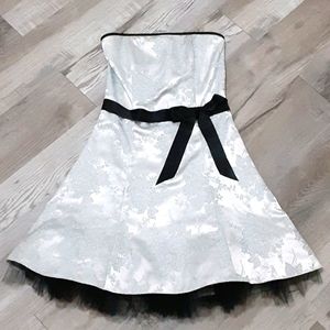Silver Fancy Dress